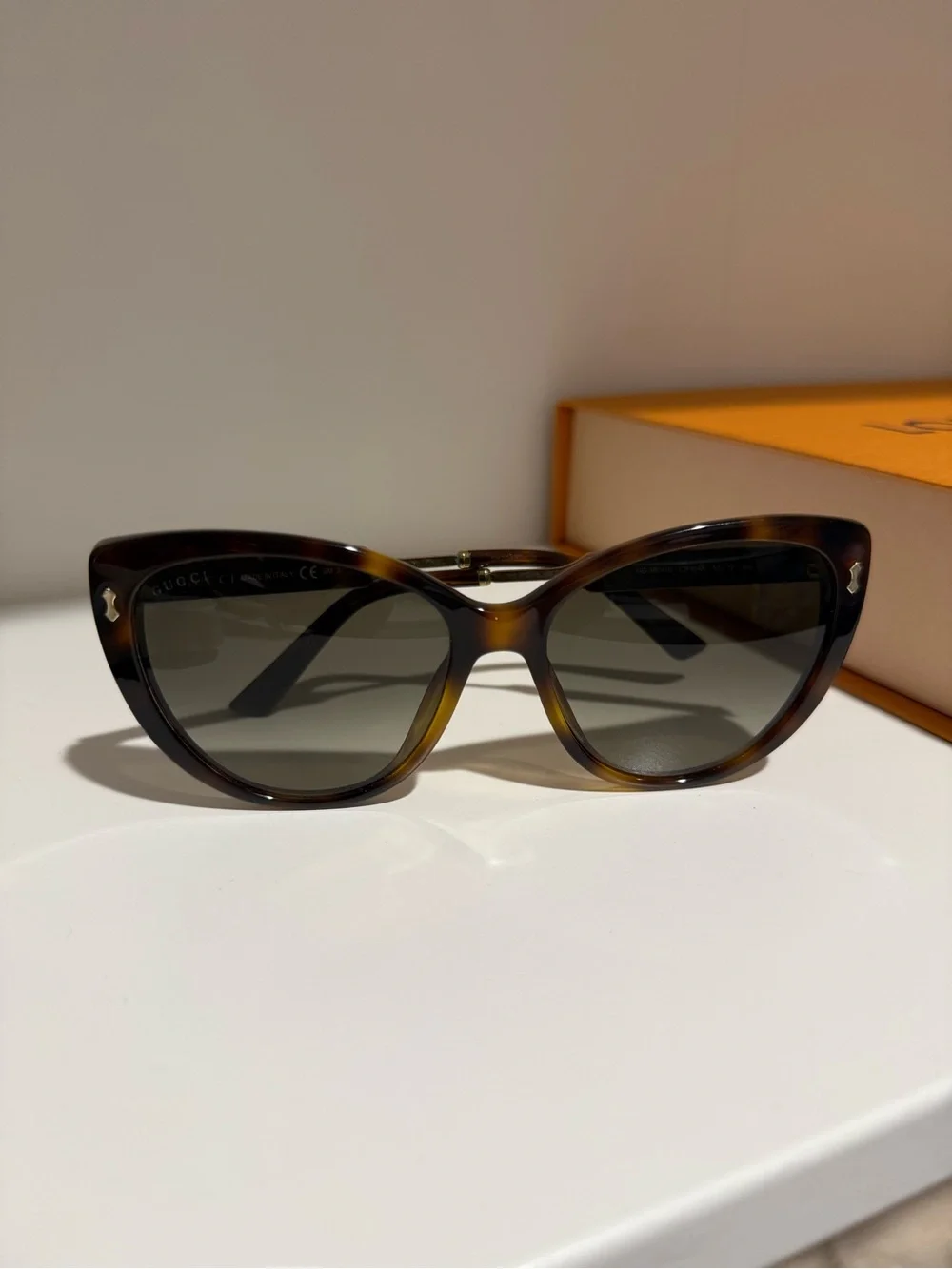 Gucci stylish cat